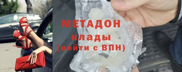 прущие грибы Наволоки