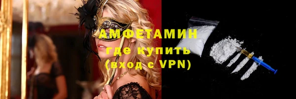 прущие грибы Наволоки