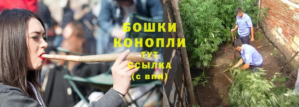 прущие грибы Наволоки