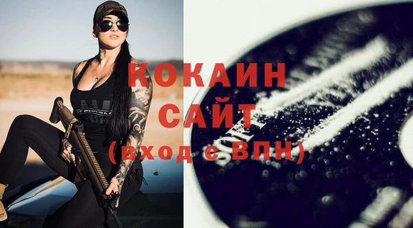 прущие грибы Наволоки