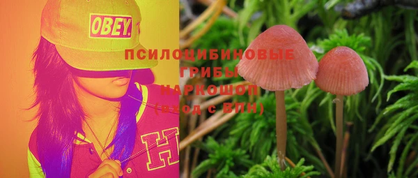 эйфоретик Надым