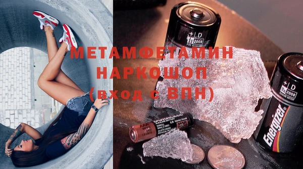 прущие грибы Белая Холуница